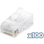 Phasak Conector RJ45 Cat.6 UTP 23AWG Sólido (Pack 100)